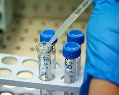 移植前每天一杯喝咖啡会影响试管移植效果嘛？